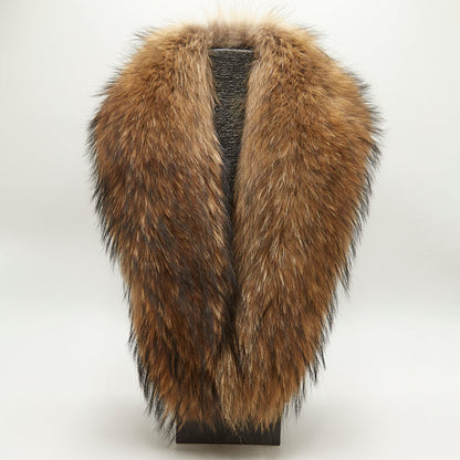 Cuello smoking raccoon